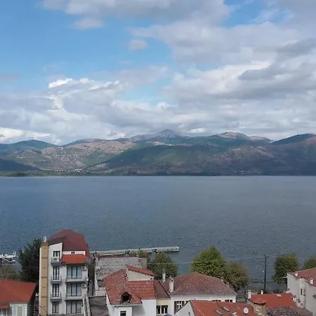 Zoi *